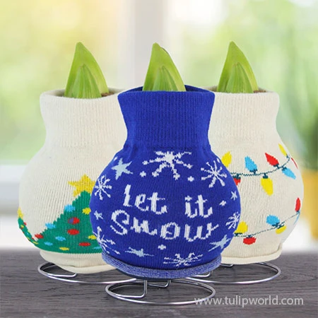 Winter Scene Sweater Amaryllis Collection 3 Winter Scene Sweater Amaryllis Collection - Image 2