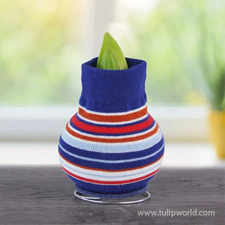 Out Of This World Sweater Amaryllis 4 Out Of This World Sweater Amaryllis - Image 2