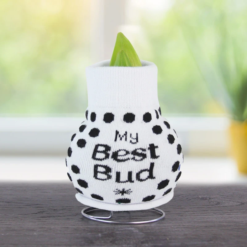 Be Well Sweater Amaryllis Collection 8 Be Well Sweater Amaryllis Collection - Image 6