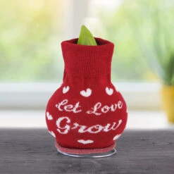 Love Grows Sweater Amaryllis 5 Love Grows Sweater Amaryllis -Plants Shop Let Love Grow 800 800 bulbs 1