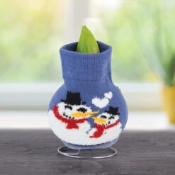 Snowing And Glowing Sweater Amaryllis Collection 13 Snowing And Glowing Sweater Amaryllis Collection -Plants Shop Snowman 800 800 bulbs 1