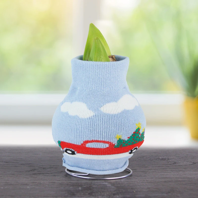 Family Tradition Sweater Amaryllis 4 Family Tradition Sweater Amaryllis - Image 2