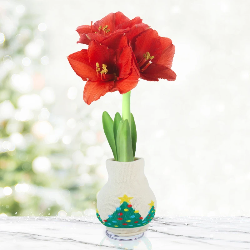 Winter Scene Sweater Amaryllis Collection 4 Winter Scene Sweater Amaryllis Collection - Image 3