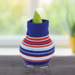 Feeling Groovy Sweater Amaryllis Collection -Plants Shop stripes 800 800 bulbs 2